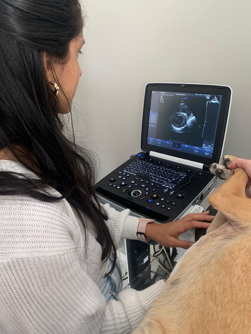 Cão e gato recebendo cuidado veterinário especializado